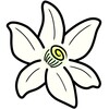 麻花影视如何视频免费版